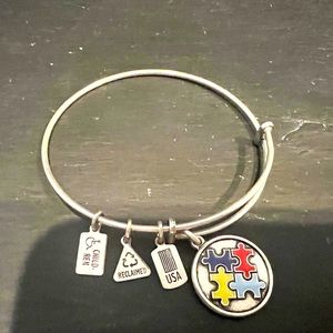 Wind and Fire Autism Enameled Puzzle Piece Charm Bangle